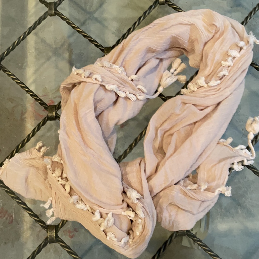 Club Monaco Fringe Neutral Scarf